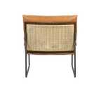 Modern Leather Living Room Chair Luxury Leather Chair Metal Frame